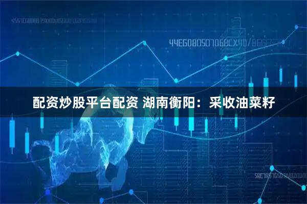 配资炒股平台配资 湖南衡阳：采收油菜籽